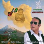 دانلود آهنگ جدید وطن از داوود صالحی